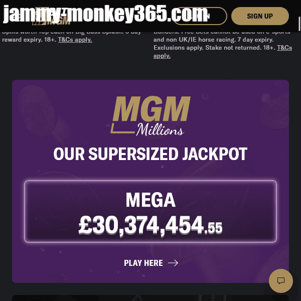Jammy Monkey Casino Jackpot